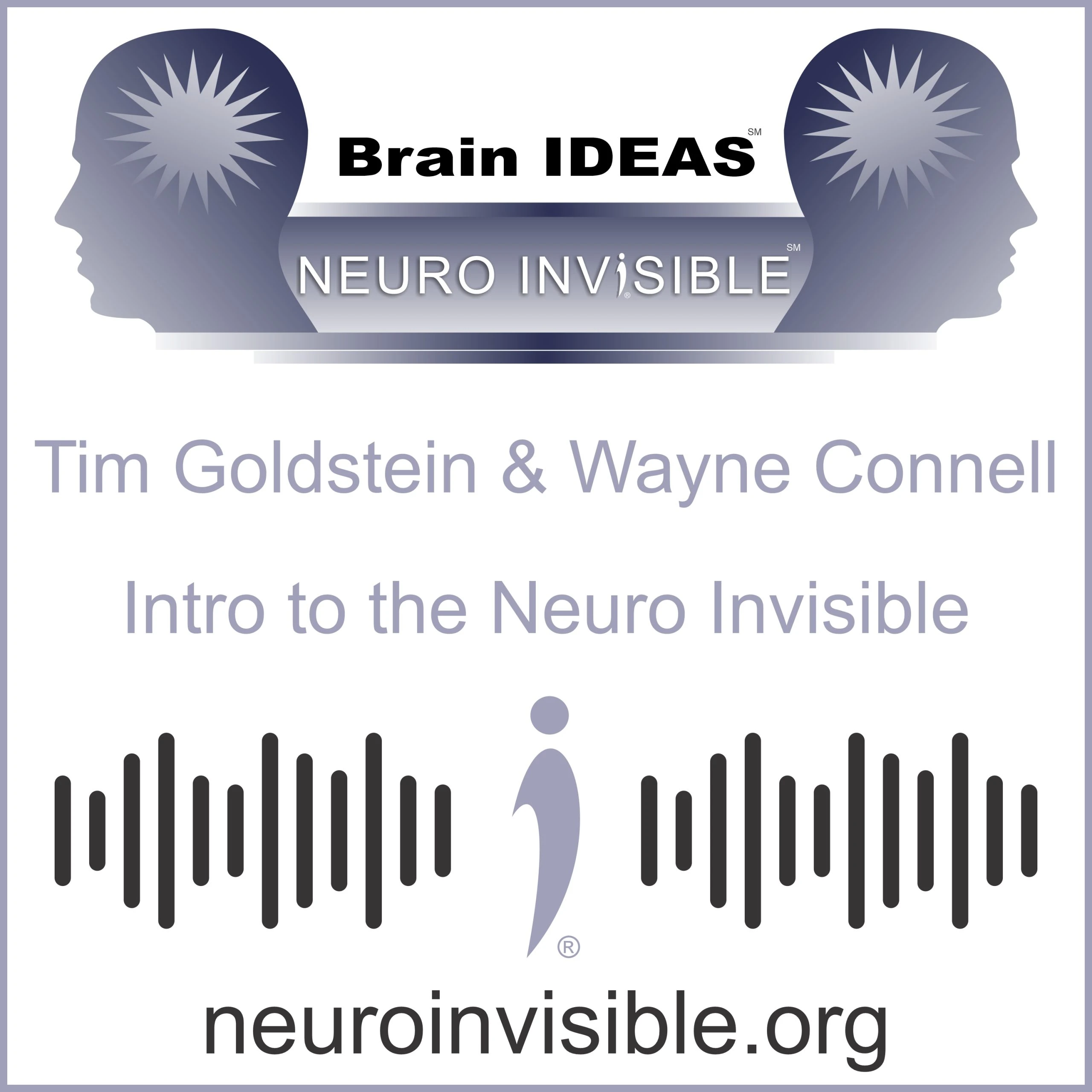 Brain IDEAS - Tim Goldstein and Wayne Connell - Intro to the Neuro Invisible - Invisible Disabilities Association - idafm
